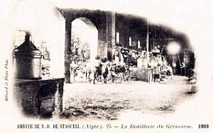Staoueli - Distillerie de Geranium  - 1903